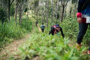 BIB: 
                            <button type="button" onclick="openModal(26293814)" class="btn btn-primary btn-sm float-right btn-popup" data-toggle="modal" data-target=".modal-high-quality">
                        <i class="fas fa-shopping-cart"></i> Add to Cart
                    </button>
                                            <button type="button" onclick="isThisMe(26293814, true)" class="btn btn-success btn-sm float-right btn-popup btn-isme hidden" data-toggle="tooltip" data-placement="bottom" title="นี่คือรูปของคุณใช่ไหม คลิกที่นี่เพื่อเอาเข้าอัลบั้ม">
                        <i class="fas fa-plus"></i> Add to album
                    </button>
                    <button type="button" onclick="isThisMe(26293814, false)" class="btn btn-warning btn-sm float-right btn-popup btn-isnotme hidden">
                        <i class="fas fa-ban"></i> Remove from album
                    </button>